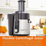 Amazon Basics Wide-Mouth, 2 speed centrifugal juicer, Black, 33.8 ounce / 1000 ML